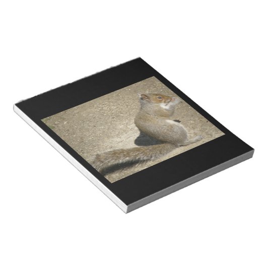 Notitieblok Squirrel Hungry Horatio (Schuin)