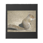 Notitieblok Squirrel Hungry Horatio (Voorkant)