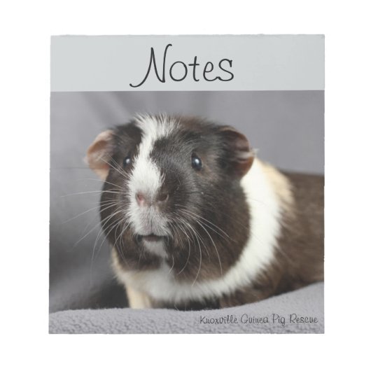 Notitieblok van cavia's (Voorkant)