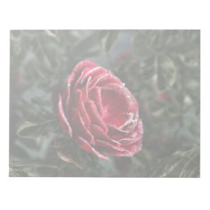 Notitieblok van de paringcadeaus van de winter