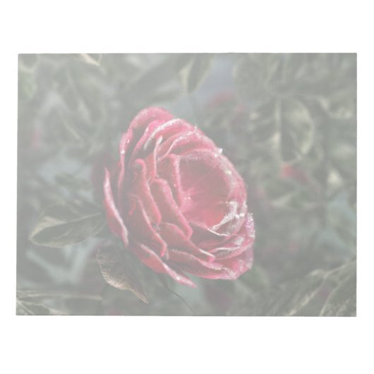 Notitieblok van de paringcadeaus van de winter (Voorkant)