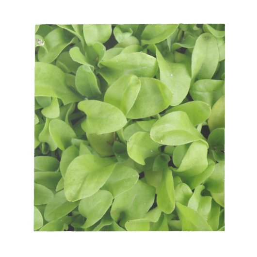 Notitieblok van Marigold Seedlings (Voorkant)