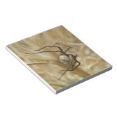 Notitieblok van spin en eieren (Schuin)