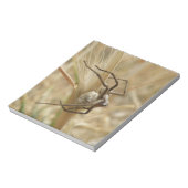 Notitieblok van spin en eieren (Linkerzijde)