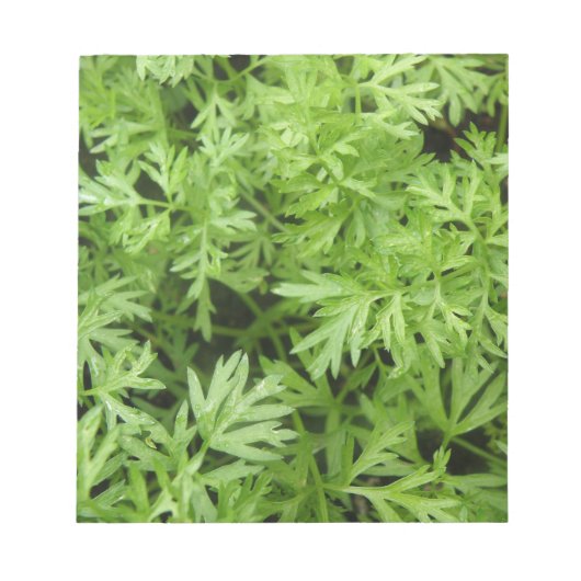 Notitieblok wortelTopjes (Voorkant)