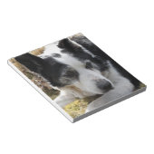 Notitieblok zwarte Australische kattenhond (Schuin)