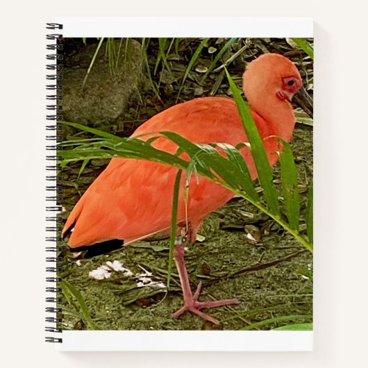 notitieboek (Voorkant)