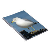 Notitieboek (Rechterzijde)