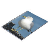 Notitieboek (Linkerzijde)