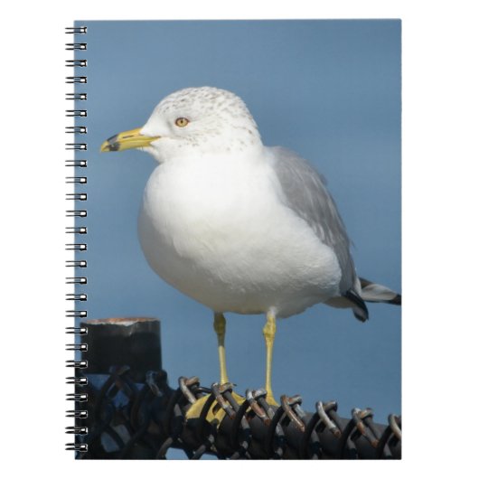 Notitieboek (Voorkant)