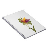 Notitieboek (Rechterzijde)