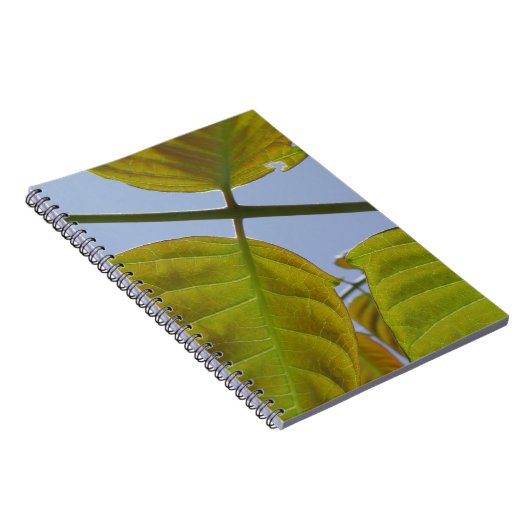 Notitieboek (Rechterzijde)