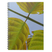 Notitieboek (Voorkant)