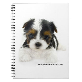 Notitieboek 80 pagina's - Biewer Terrier Puppy