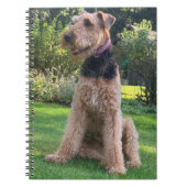 Notitieboek Airedale Terrier (Voorkant)