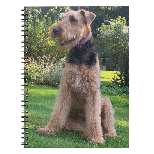 Notitieboek Airedale Terrier (Voorkant)