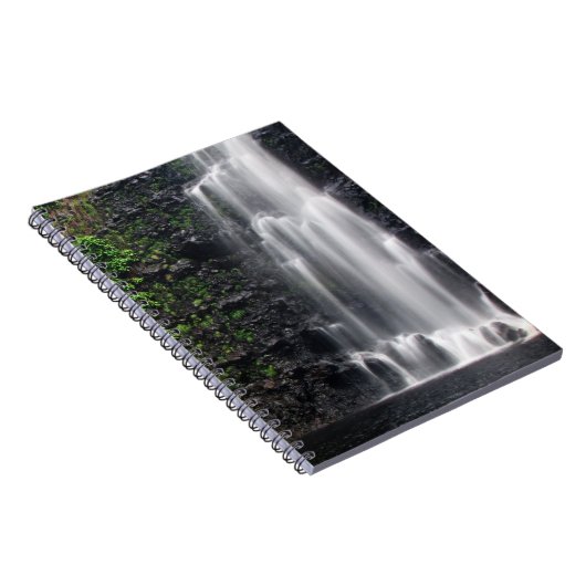 notitieboek "Anna's Pond" (Rechterzijde)