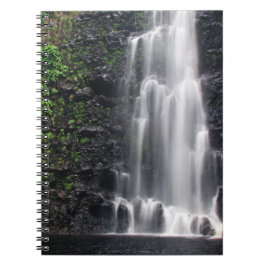 notitieboek "Anna's Pond"