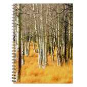 notitieboek aspen (Voorkant)