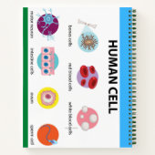 NOTITIEBOEK BIOLOGIE-ICONS (GROENEN) (Achterkant)