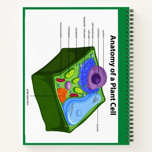NOTITIEBOEK BIOLOGIE-ICONS (WITTE) (Achterkant)
