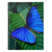 Notitieboek-Butterfly Notitieboek (Voorkant)