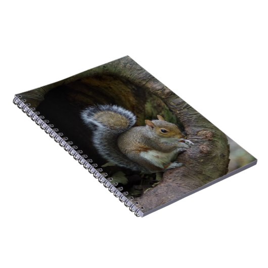 Notitieboek eekhoorn (Rechterzijde)