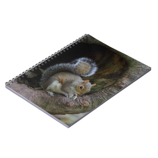 Notitieboek eekhoorn (Linkerzijde)