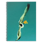 Notitieboek en schedel met regenlaarzen (Voorkant)