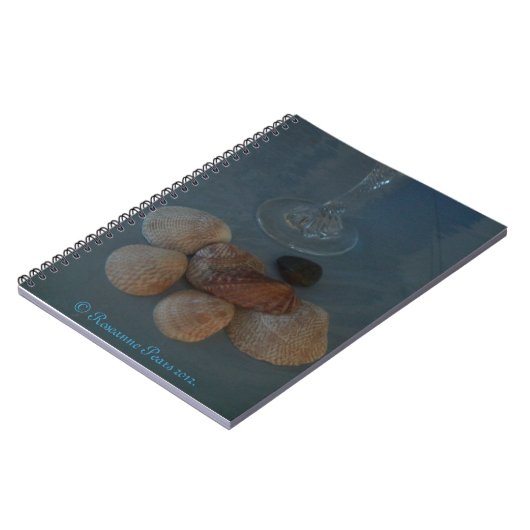 Notitieboek (Flute&Shells) RFPMDesignes ©️ 2012 (Linkerzijde)