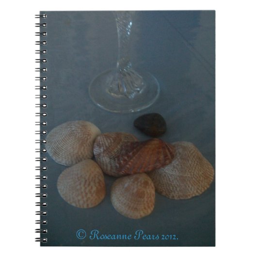 Notitieboek (Flute&Shells) RFPMDesignes ©️ 2012 (Voorkant)
