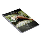Notitieboek Foto: red panda, animal 0437. (Rechterzijde)