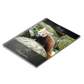 Notitieboek Foto: red panda, animal 0437. (Linkerzijde)