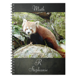 Notitieboek Foto: red panda, animal 0437.