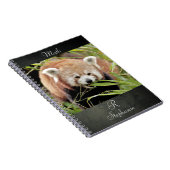 Notitieboek Foto: red panda, animal 0443. (Rechterzijde)