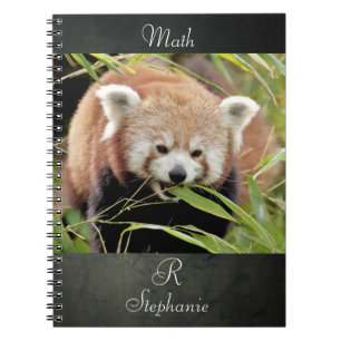 Notitieboek Foto: red panda, animal 0443.