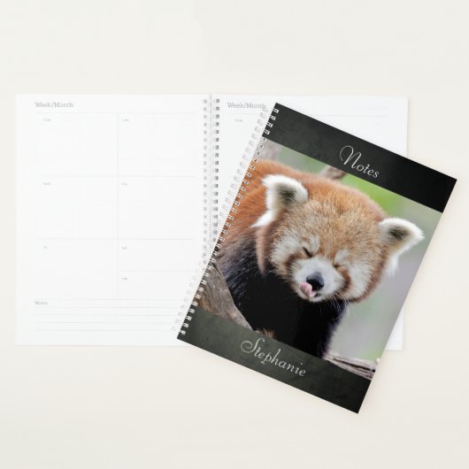 notitieboek Foto: rode panda, dieren 03. notitiebo (Display)