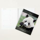 Notitieboek Fotoreus panda, dieren 01. notitieboek (Display)