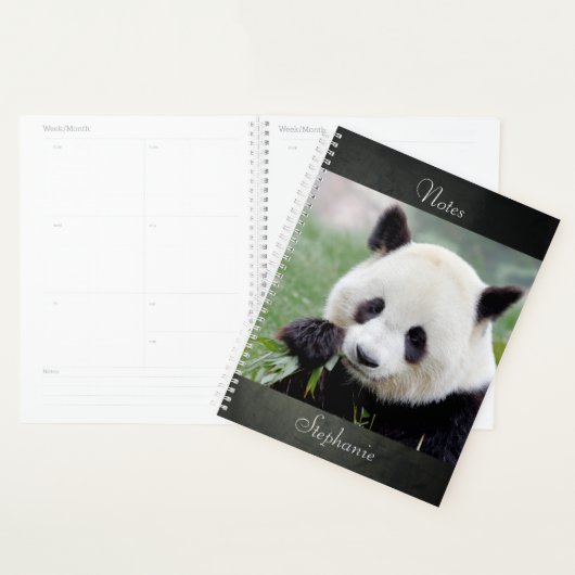 Notitieboek Fotoreus panda, dieren 01. notitieboek (Display)
