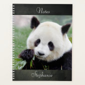 Notitieboek Fotoreus panda, dieren 01. notitieboek (Voorkant)