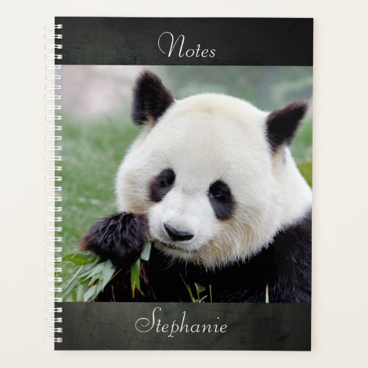 Notitieboek Fotoreus panda, dieren 01. notitieboek (Voorkant)