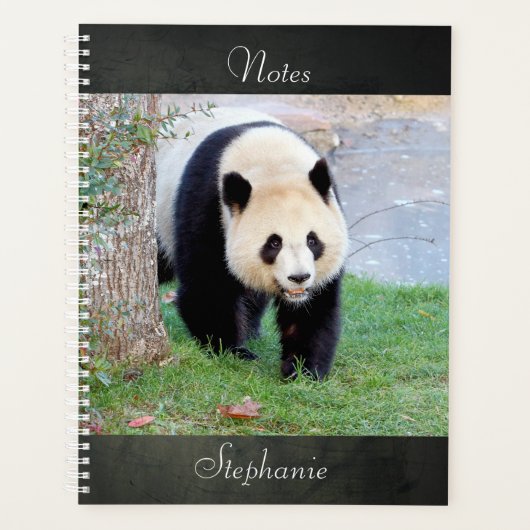 Notitieboek Fotoreus panda, dieren 05. notitieboek (Voorkant)