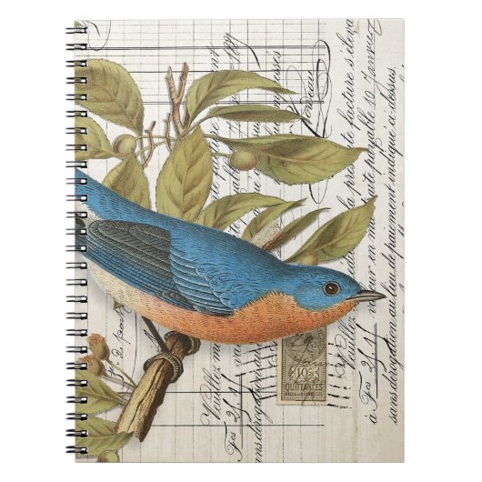 Notitieboek Franse Bluebird Spiral Journal (Voorkant)
