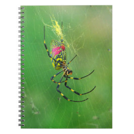 Notitieboek Golden Orb Weaver Spider