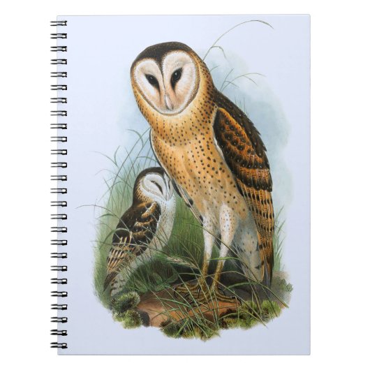 Notitieboek gras Owl (80 pagina's B&W) (Voorkant)