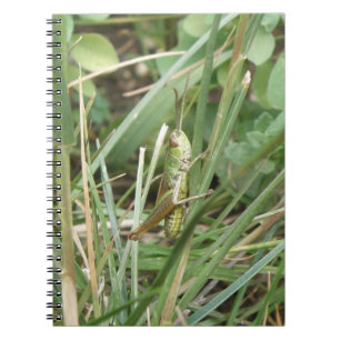 Notitieboek Grasshopper Camouflage