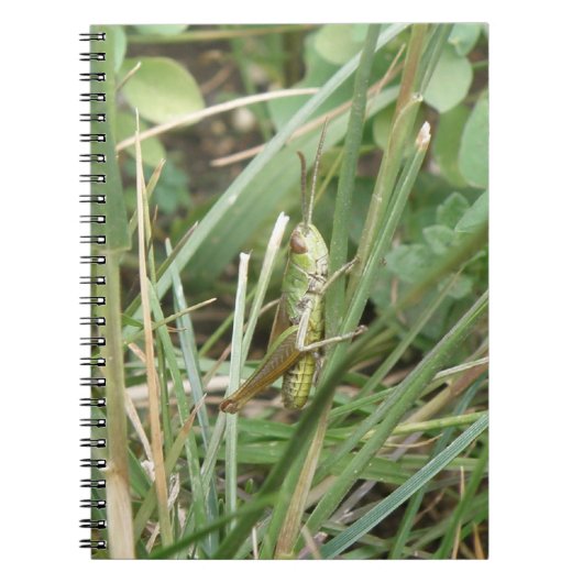 Notitieboek Grasshopper Camouflage (Voorkant)