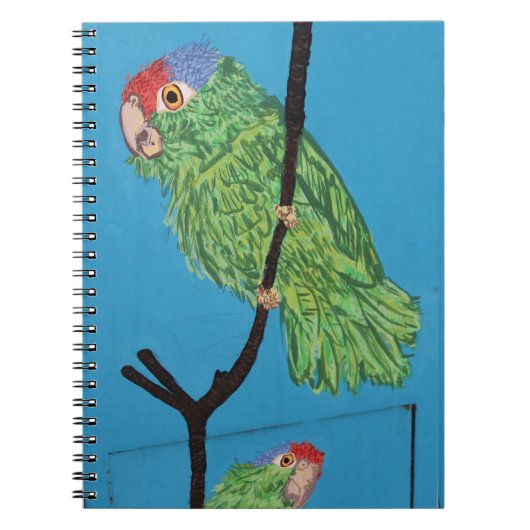 notitieboek groene papegaai (Voorkant)