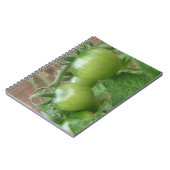 Notitieboek groene tomaten (Linkerzijde)