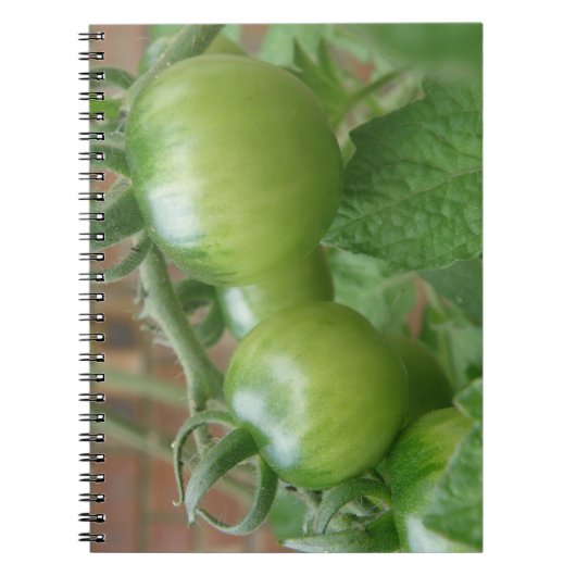 Notitieboek groene tomaten (Voorkant)